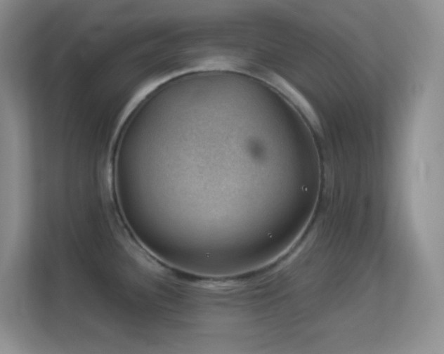 X0000113901340200909241430