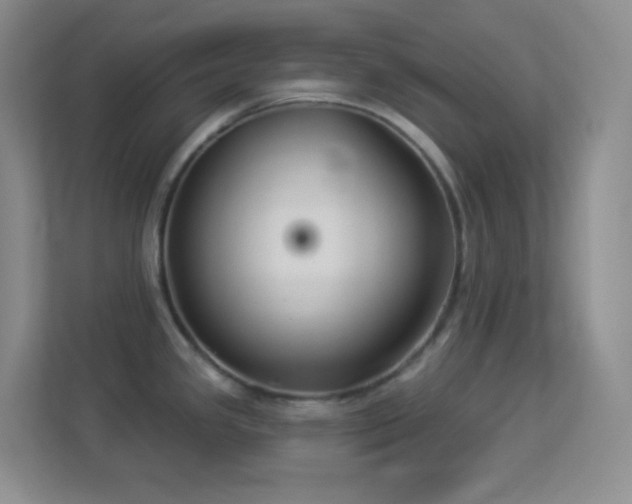X0000113901341200909241430