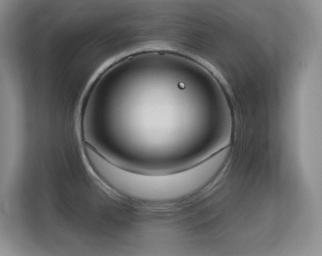 X0000113901342200909241430