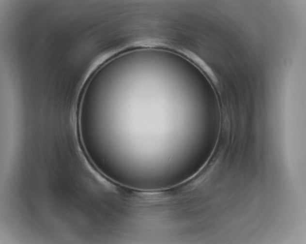 X0000113901343200909241430