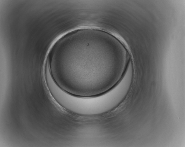 X0000113901344200909241430