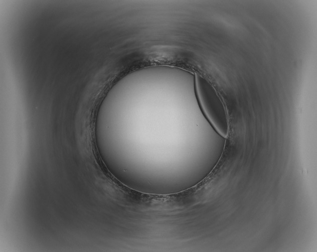 X0000113901345200909241429