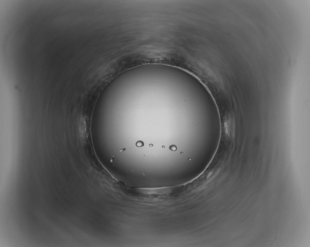 X0000113901347200909241429