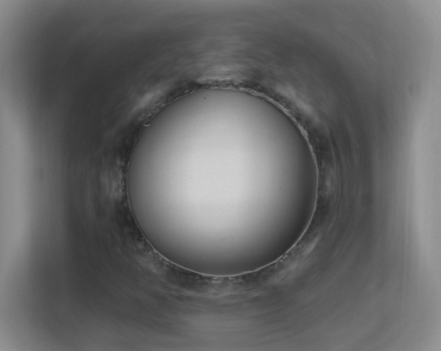 X0000113901350200909241429