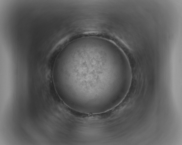 X0000113901351200909241429