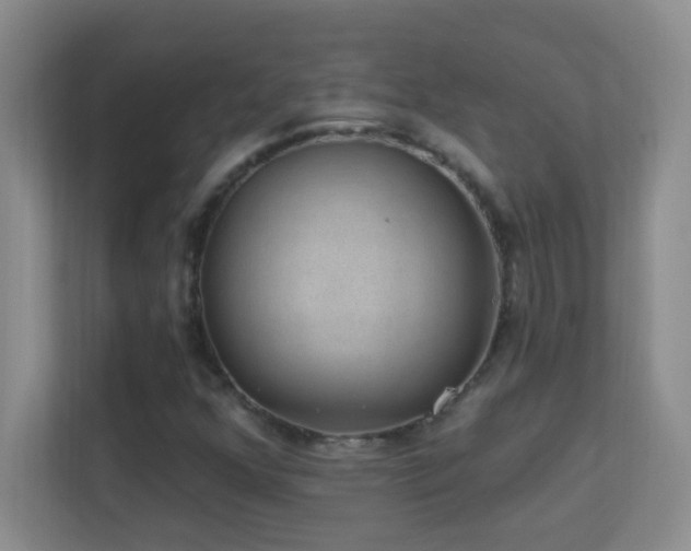 X0000113901352200909241429