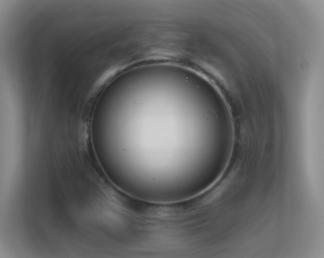 X0000113901355200909241429