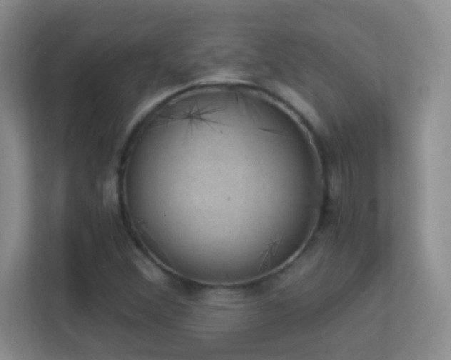 X0000113901356200909241429