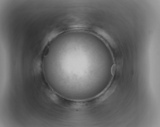 X0000113901357200909241429