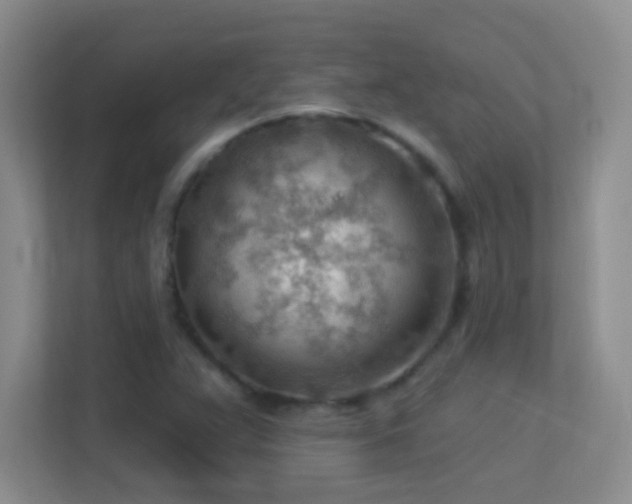 X0000113901359200909241429