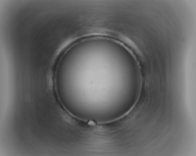 X0000113901360200909241429