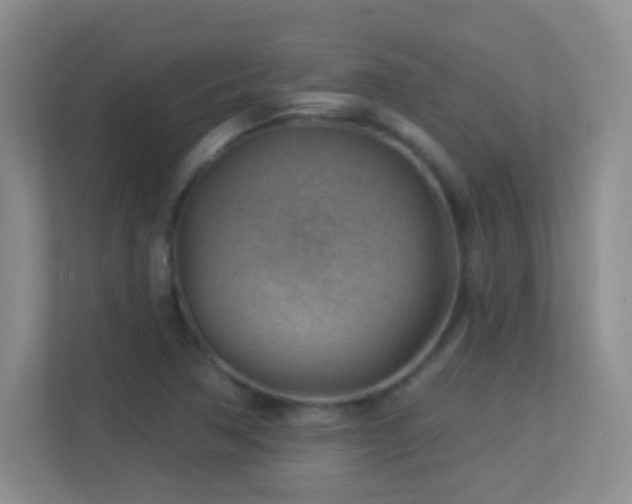 X0000113901362200909241429