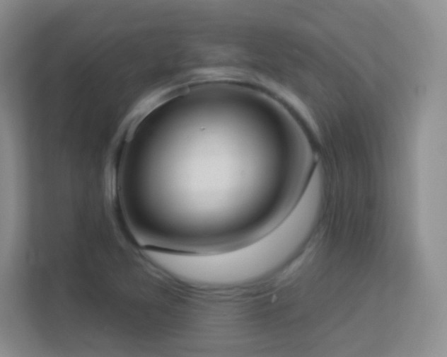 X0000113901365200909241429