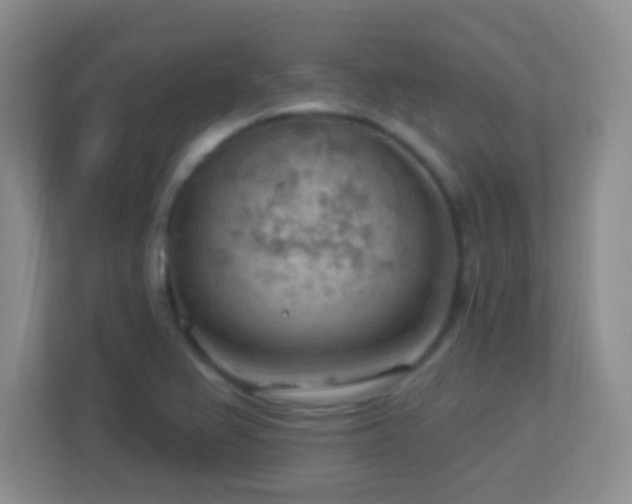 X0000113901367200909241429