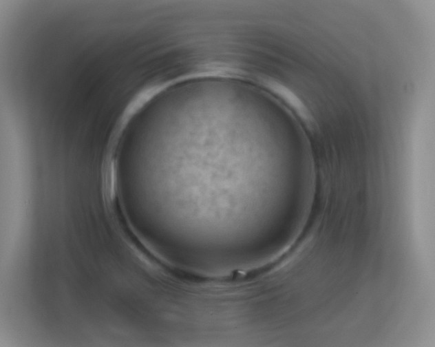 X0000113901371200909241429