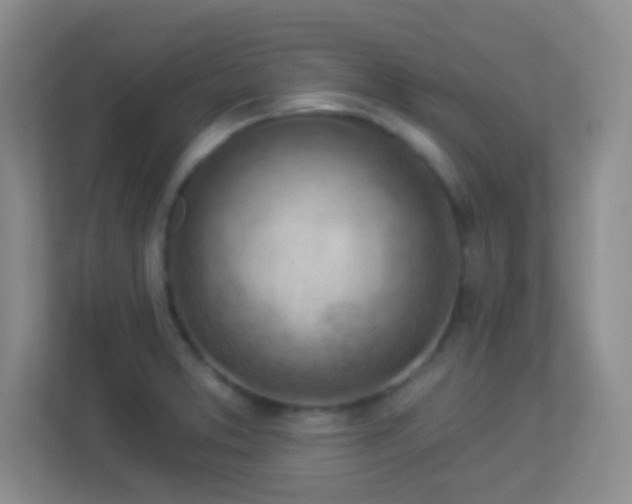 X0000113901373200909241429