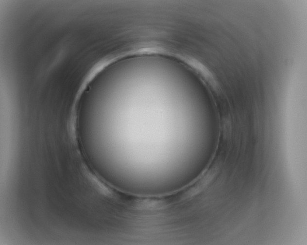 X0000113901374200909241429