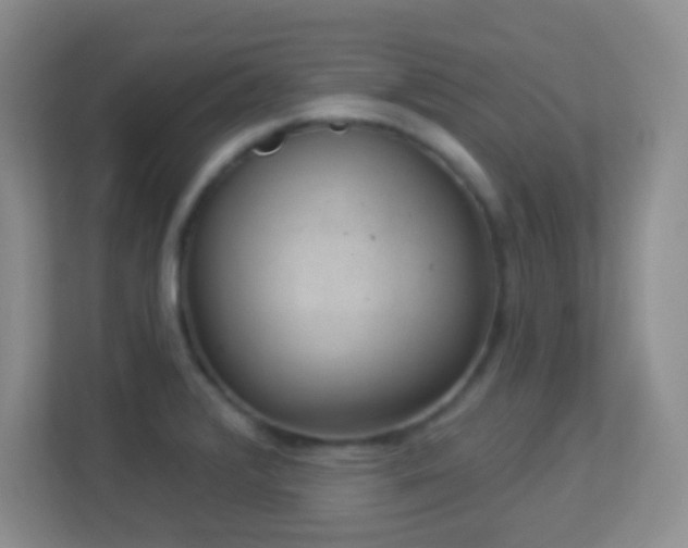X0000113901376200909241429
