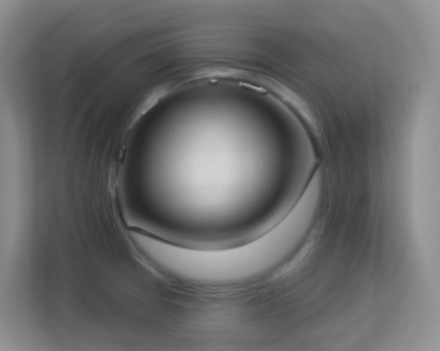 X0000113901377200909241429