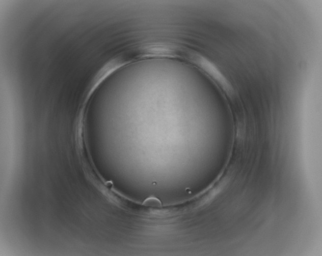 X0000113901378200909241429