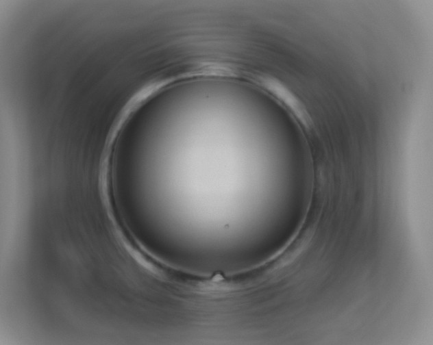X0000113901379200909241429