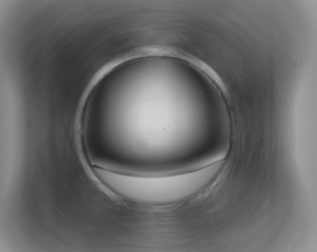 X0000113901381200909241429
