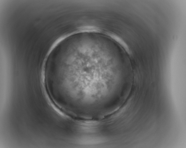 X0000113901383200909241429