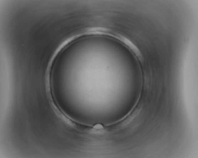 X0000113901384200909241429