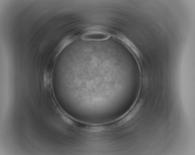 X0000113901385200909241429