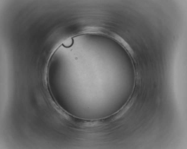 X0000113901386200909241428