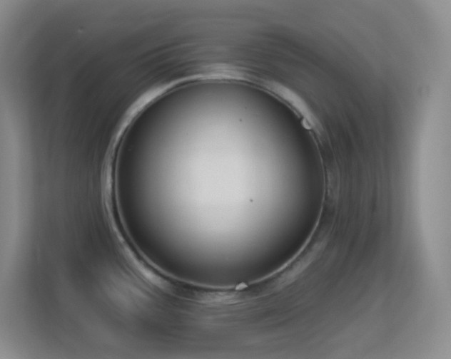 X0000113901387200909241428