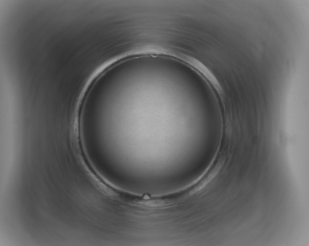 X0000113901388200909241428