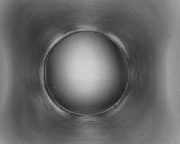 X0000113901391200909241428