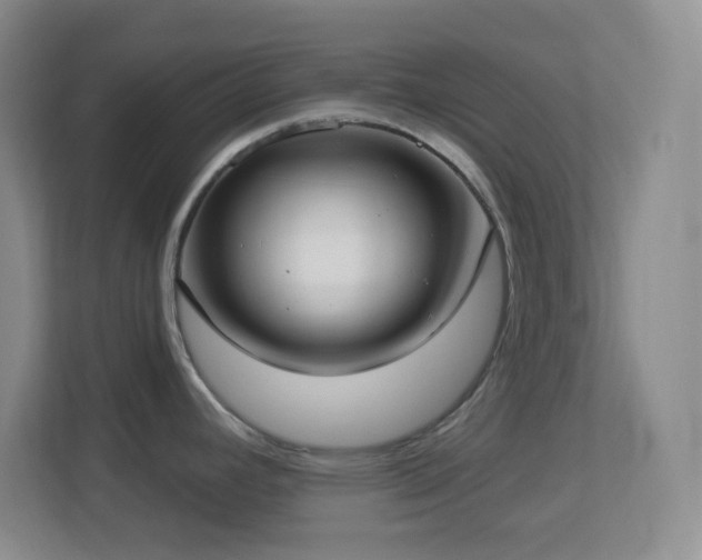 X0000113901392200909241428