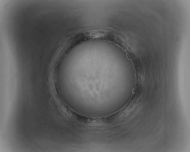 X0000113901393200909241428