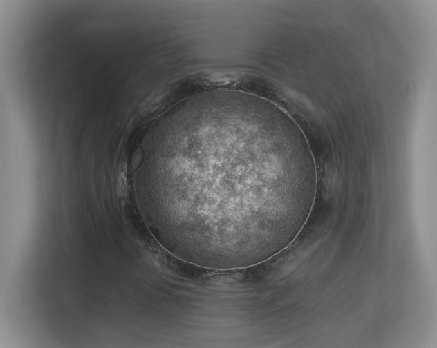 X0000113901394200909241428