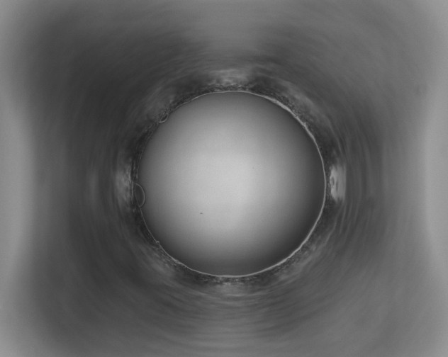 X0000113901395200909241428