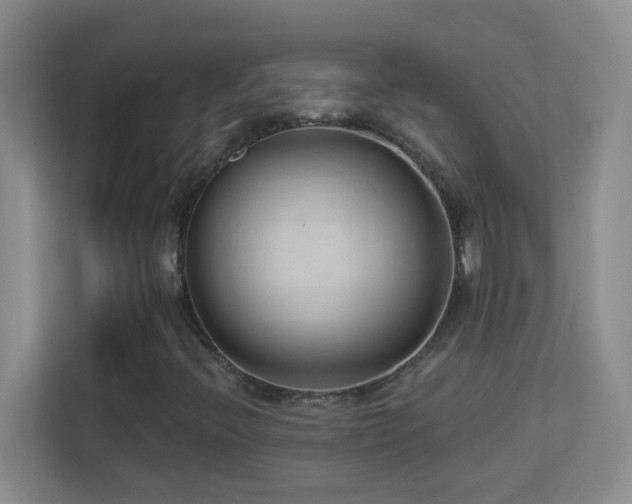 X0000113901396200909241428
