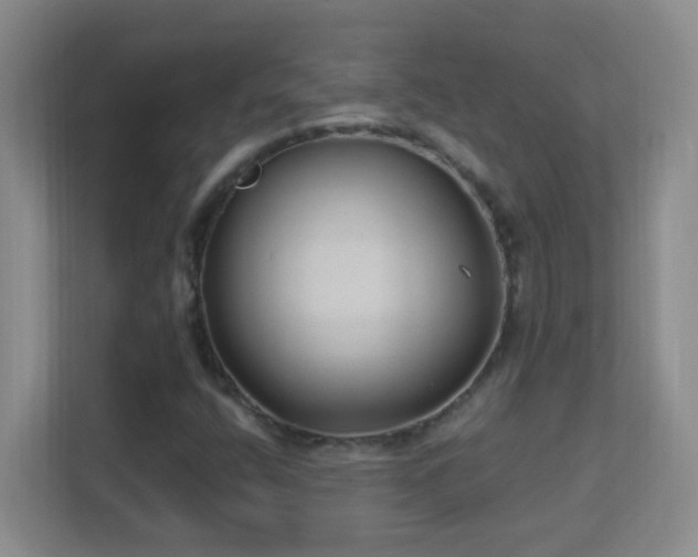 X0000113901400200909241428