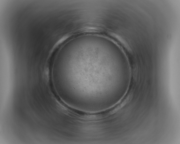 X0000113901402200909241428
