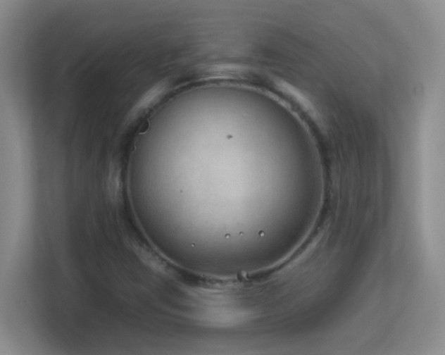 X0000113901403200909241428