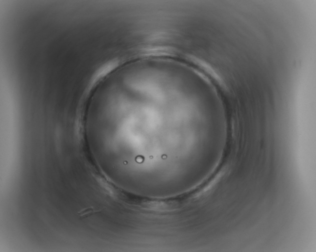 X0000113901405200909241428