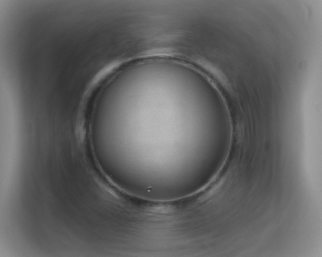 X0000113901406200909241428