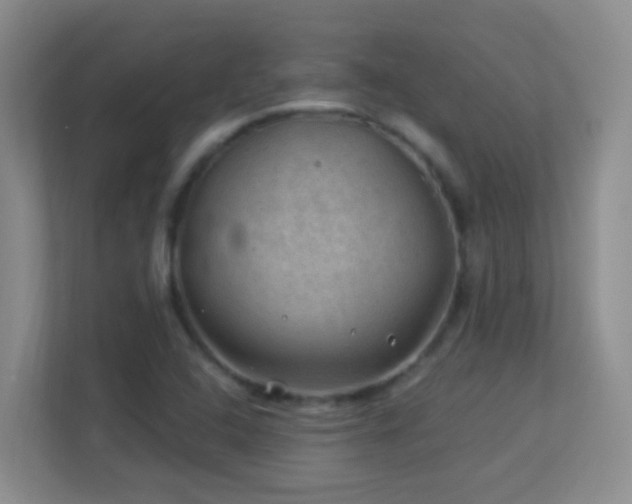 X0000113901408200909241428