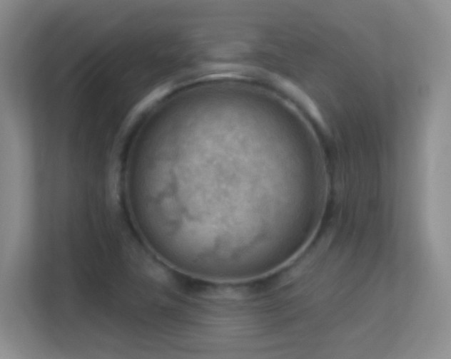 X0000113901411200909241428
