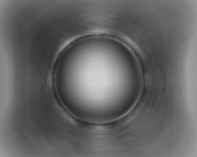 X0000113901412200909241428