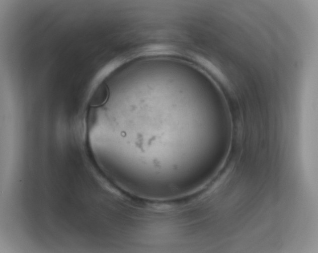 X0000113901413200909241428