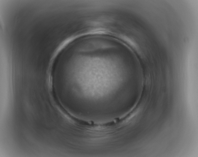 X0000113901414200909241428