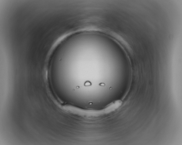 X0000113901416200909241428