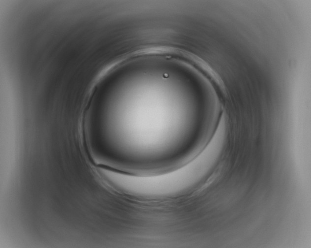 X0000113901417200909241428